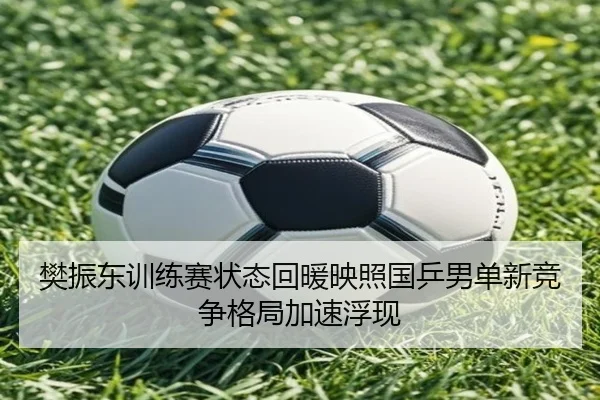樊振东训练赛状态回暖映照国乒男单新竞争格局加速浮现